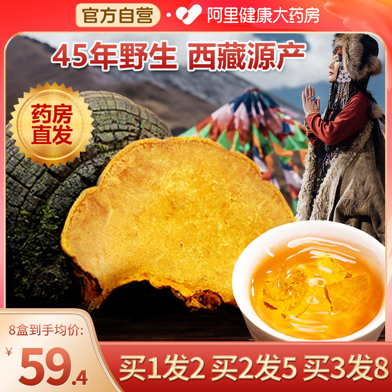 45+年桑树桑黄野生西藏桑黄粉茶泡水正品官方旗舰店