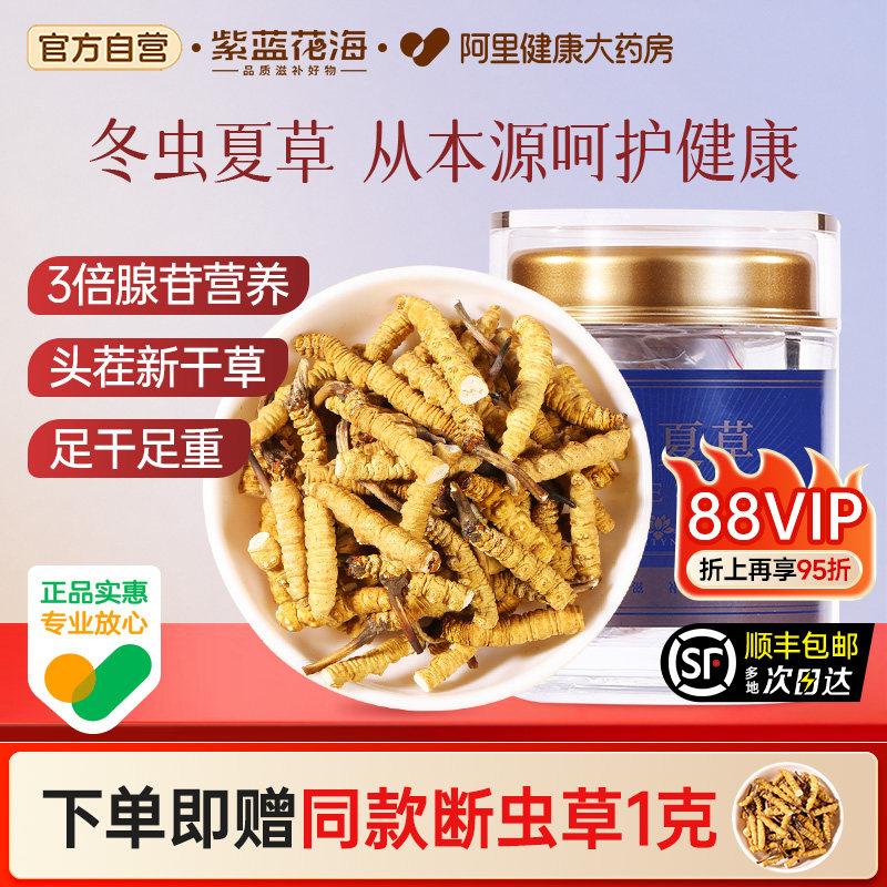 紫蓝花海冬虫夏草正宗头茬干货断虫草整根草官方正品滋补泡水