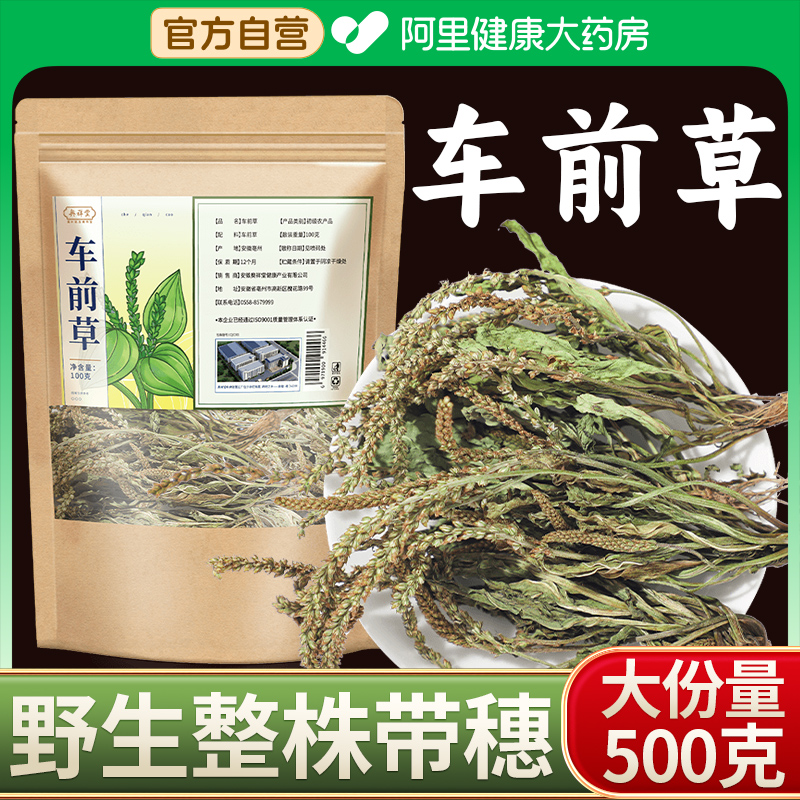 野生车前草中草药材500g夏枯草泡水喝的功效与作用干货官方旗舰店