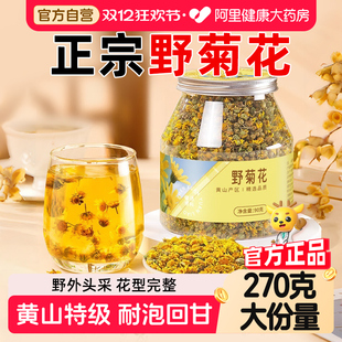 福东海野菊花中草药材正宗新货野菊花胎菊泡茶泡水天然野菊花干花