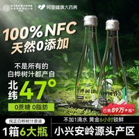 【液體黃金】30年足齡白樺樹采集