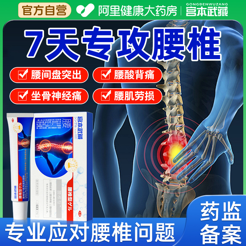 【医用腰椎凝胶】专攻腰间盘突出