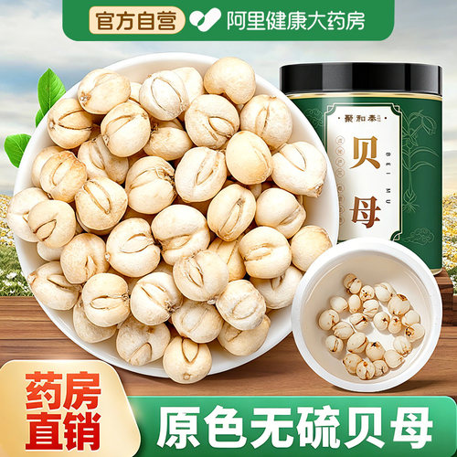 【药房直销】原色大粒贝母
