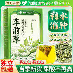 南京同仁堂车前草野生利尿茶泡水喝尿酸茶高降袋泡茶包官方旗舰店