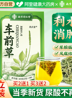 南京同仁堂车前草野生利尿茶泡水喝尿酸茶高降袋泡茶包官方旗舰店