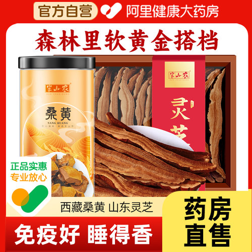 【阿里健康自营】桑黄灵芝组合