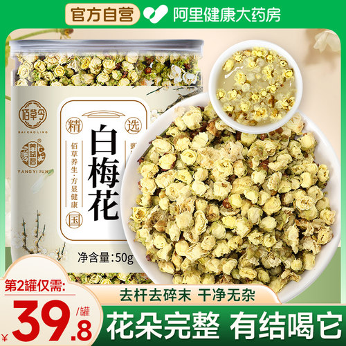 白梅花绿萼梅正品自营