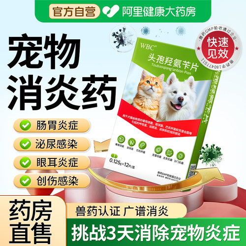 【拒绝炎症！】猫咪狗狗消炎药