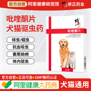 修正狗狗猫咪用驱虫药吡喹酮片宠物口服体内驱血吸虫绦虫囊尾蚴病