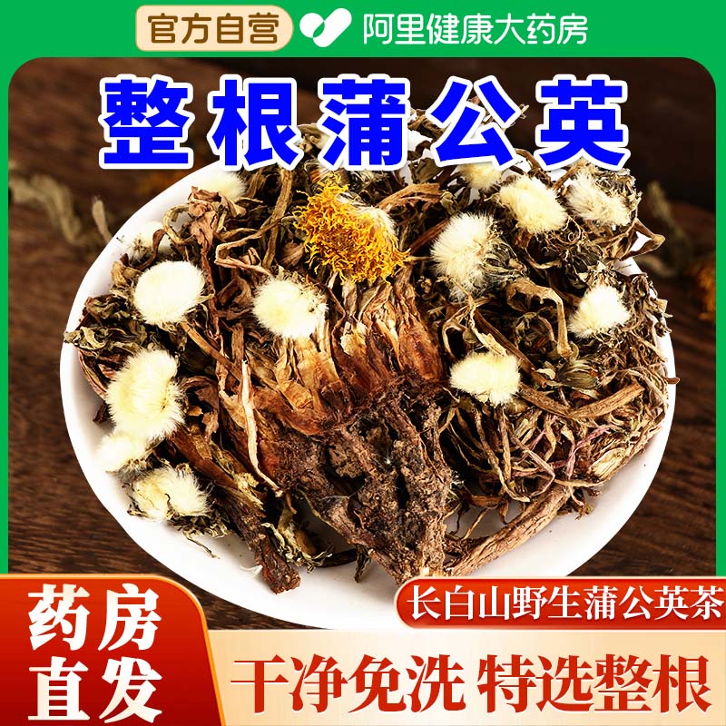 蒲公英野生整根官方旗舰店正品新鲜浦公英茶干非特級中薬材泡水喝