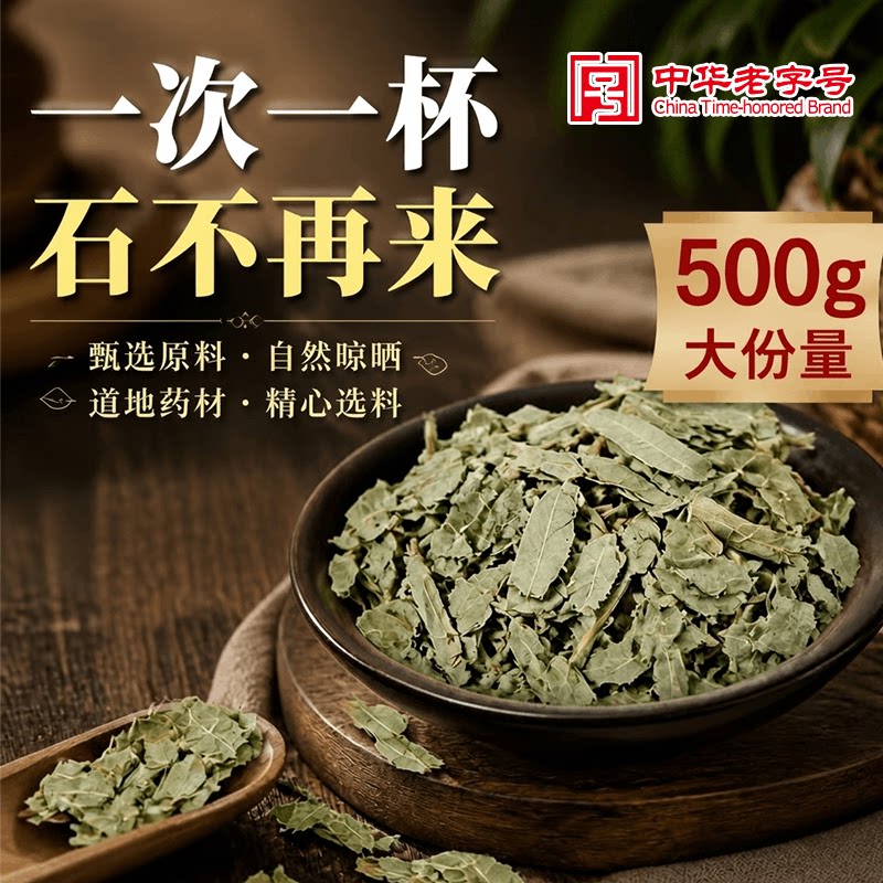 特级金钱草大叶新鲜去石图片