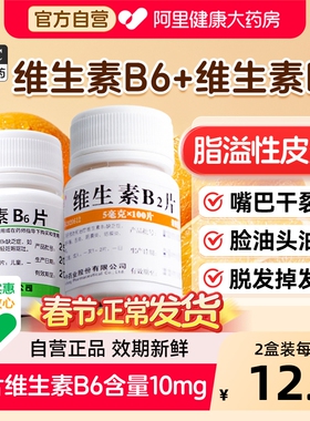 维生素B6片B2片100片脂溢性皮炎维生素b族防脱发掉发嘴巴干裂vb6