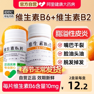 维生素B6片B2片100片脂溢性皮炎维生素b族防脱发掉发嘴巴干裂vb6