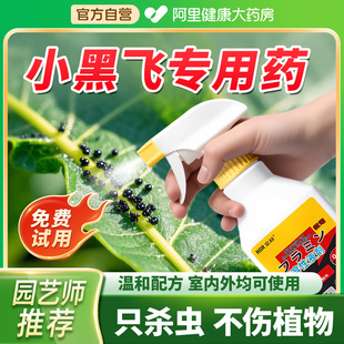 小黑飞杀虫剂养花盆非专杀灭室内家用花卉植物里的小飞虫去除虫药