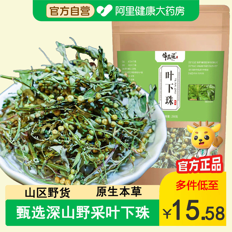 深山野采叶下珠中草药材500g正品散装晒干带杆龙珠草鱼鳞草夜合草