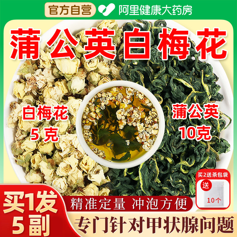 养益君蒲公英白梅花甲状腺散绿萼梅结茶中薬材搭玫瑰中药材旗舰店