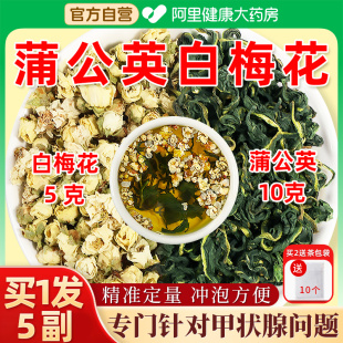 养益君蒲公英白梅花甲状腺散绿萼梅结茶中薬材搭玫瑰野菊花金银花