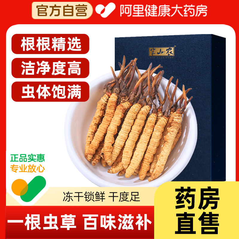 冬虫夏草泡酒的正确方法：配方比例、功效禁忌与真实经验判断