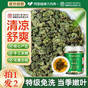 特级新鲜薄荷叶干可食用泡茶中药材下排解火降火养生茶官方旗舰店