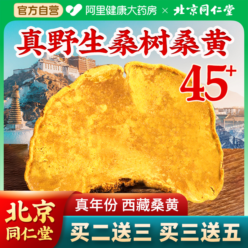 北京同仁堂西藏野生45+桑树桑黄搭灵芝孢子粉茶官方旗舰店正品
