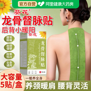 葵花艾草龙骨督脉灸贴凤脉贴艾灸贴热敷颈椎肩椎腰背部膝盖温灸贴