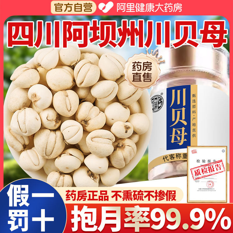 四川川贝母正品阿坝州非野生中薬材颗粒平可药房旗舰店官方中药材 - 实物图