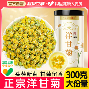 洋甘菊茶官方旗舰店正品甘洋菊茶包新干花苞胎皇菊王泡花草茶水喝
