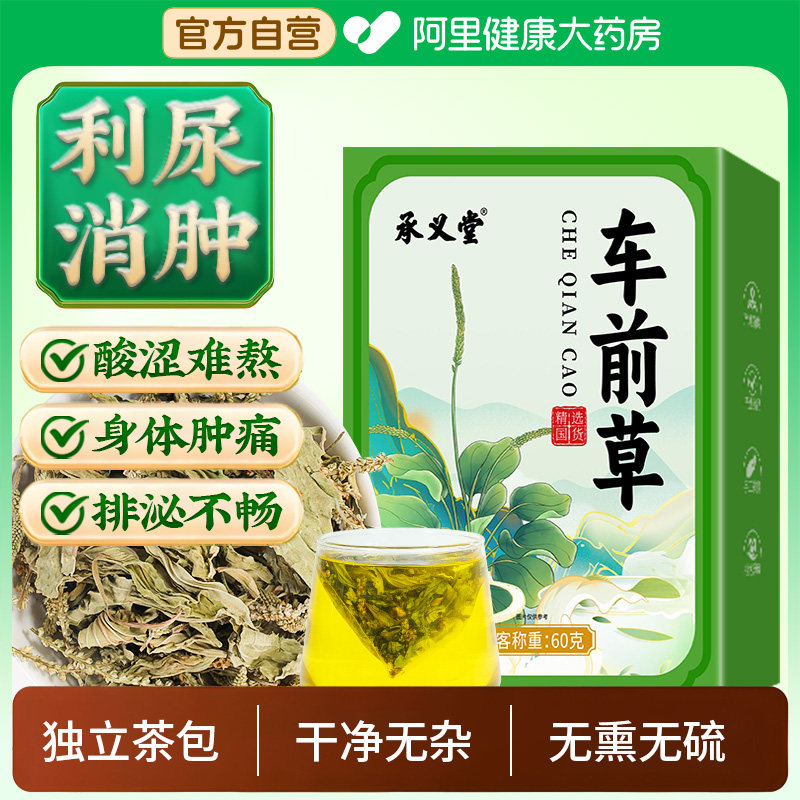 喝足30天承义堂车前草高品质图片