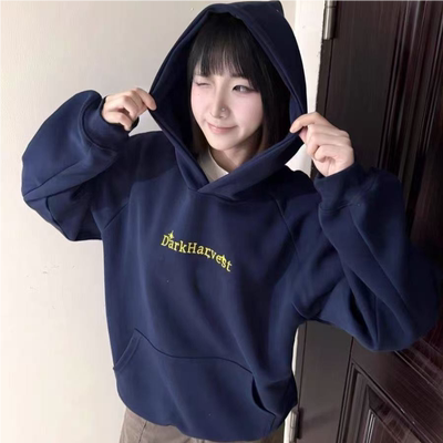 潮牌美式字母刺绣连帽卫衣女2025新款秋冬高级感宽松纯棉帽衫上衣