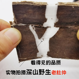 杜仲 杜仲皮略阳杜仲秦岭野生老树杜仲皮 包邮500g