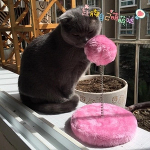 猫抓板 弹簧逗猫球猫玩具 猫咪用品猫咪磨爪玩具 猫挠板