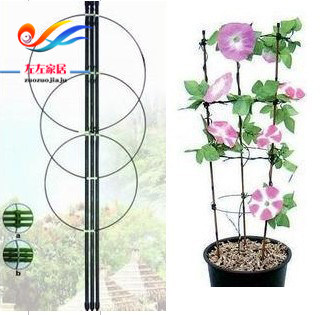 balcony Botany Climbing Bracket Clematis Climbing frame Plastic bag Hoop Climbing Flower trellis Climbing Botany Flower Pillarin the Flower delivery/Flowers simulation/Plants gardening , Gardening supplies , Other Garden Supplies  category - from Buy2taobao.com to provide professional Taobao agent buy service