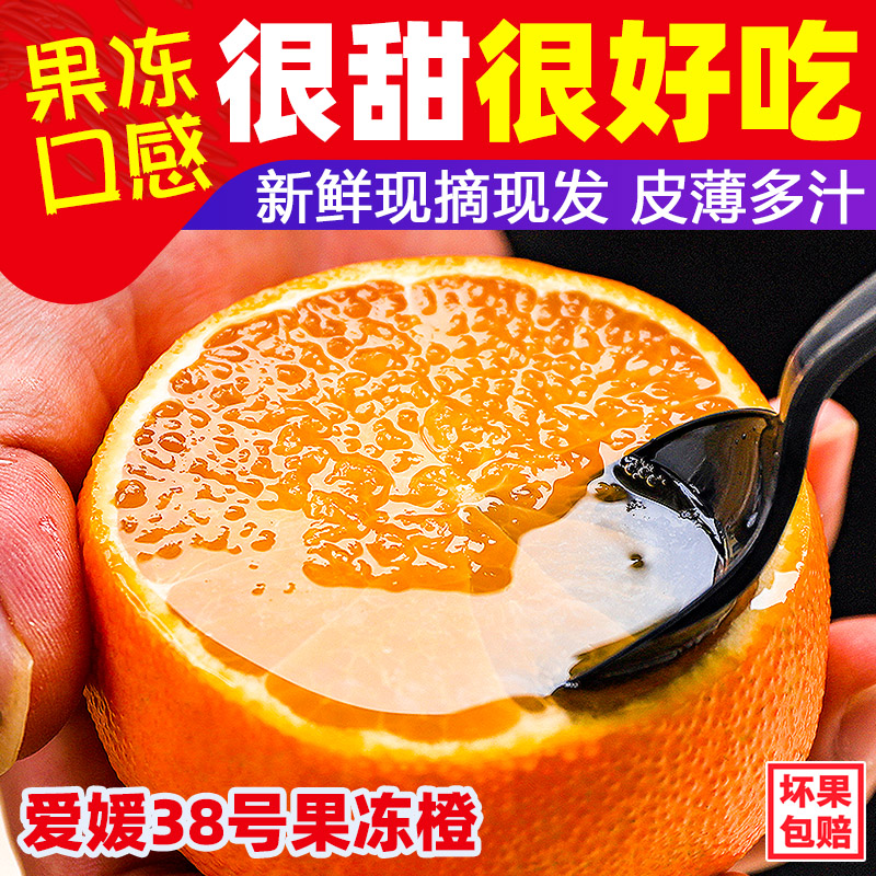 爱媛果冻四川新鲜水果包邮