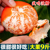 沃柑水果橘子广西武鸣沃柑旗舰店10新年新鲜水果应季 当季 整箱