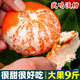 沃柑水果橘子广西武鸣沃柑旗舰店10新年新鲜水果应季 当季 整箱