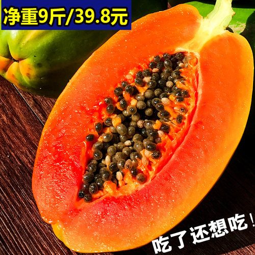 特产牛奶木瓜价格 特产牛奶木瓜图片 星期三