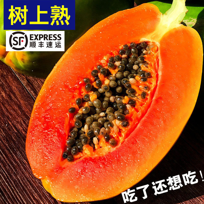 【树上熟顺丰包邮】木瓜新鲜水果海南红心牛奶木瓜应季当季孕妇8