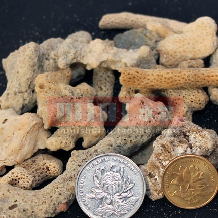【MINI水族】简装珊瑚砂珊瑚石 珊瑚骨 珊瑚沙水族箱鱼缸过滤材料