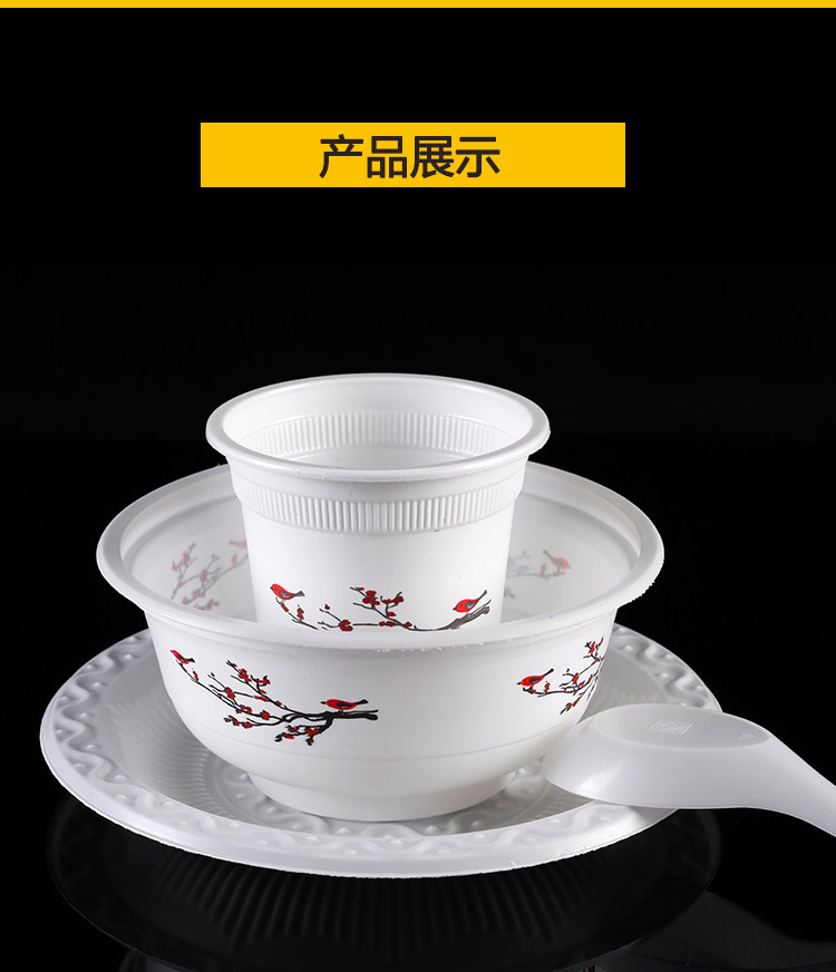 一次性餐具可降解杯碗碟勺四件套环保独立包装酒店烧烤聚会野餐用