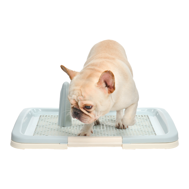 狗狗上厕所自动尿盆大型犬冲水