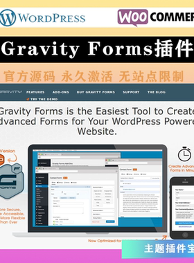 Gravity Forms 汉化中文版 自定义表格设计高级WordPress表单插件