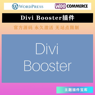 Divi Booster 专业版 Divi主题模板功能改进自定义WordPress插件