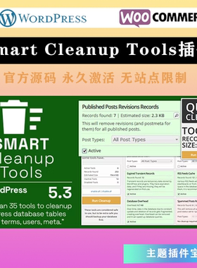 Smart Cleanup Tools 中文版 数据库智能清理优化WordPress插件