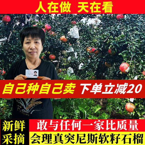 官方推荐|正宗突尼斯软籽石榴