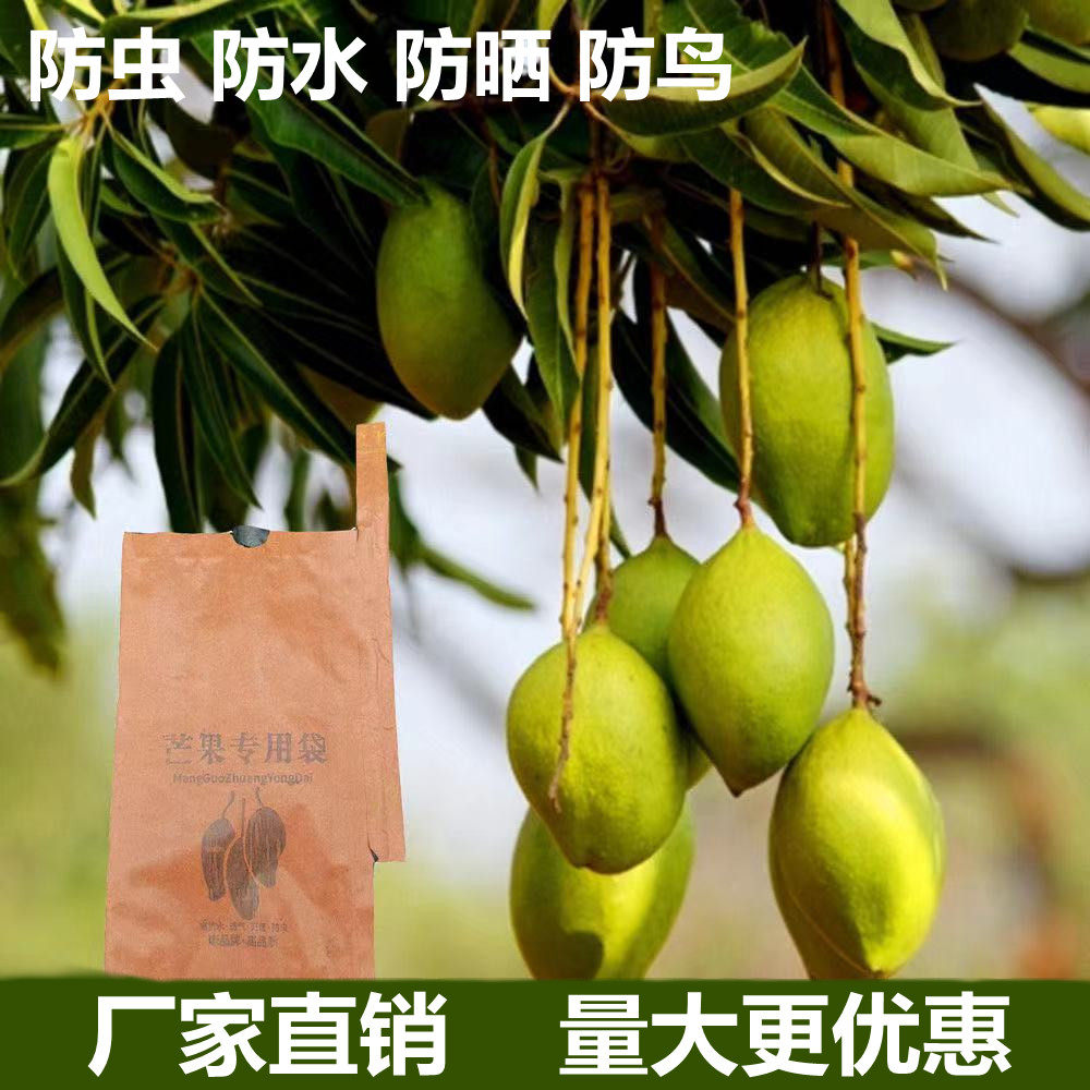 柚子套袋三红柚红心蜜柚白纸黄皮纸袋大芒果套袋防水防虫鸟水果袋