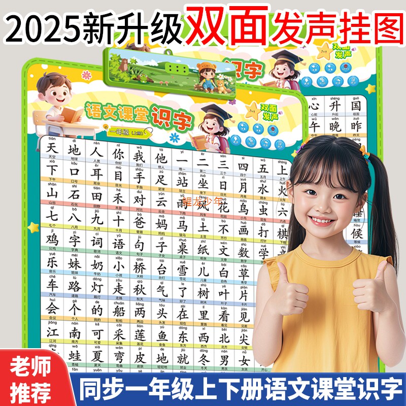 双面点读精品有声挂图幼儿看图识字同步认识汉字幼小衔接早教玩具