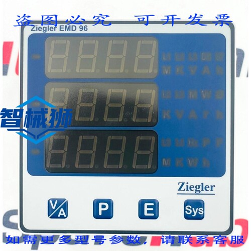 现货供应 ZIEGLER EDM96 仪表