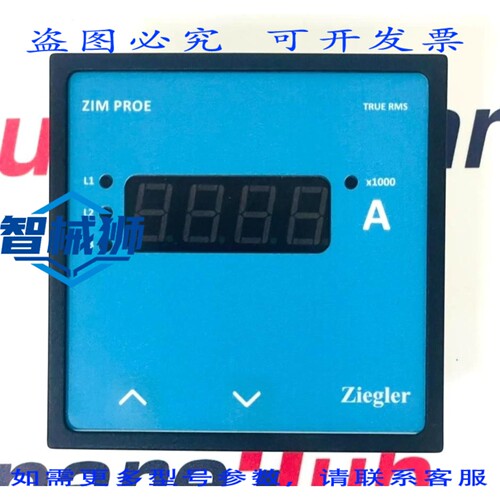 现货供应 ZIEGLER ZIM PROE 数字电流表 ZIM PROE 3A