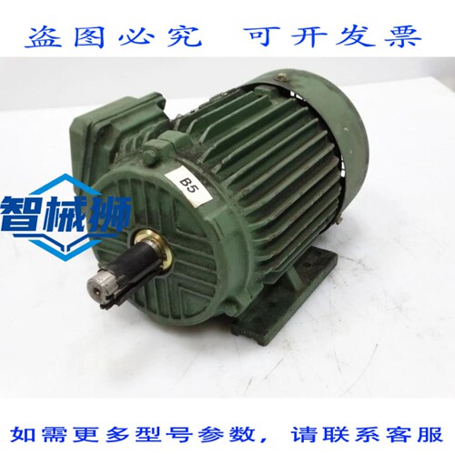 现货供应 IRON HORSE MTCP-002-3BD18 感应电机（144424）