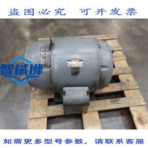 现货供应 REUL B5202 电机